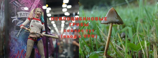 mdpv Белокуриха