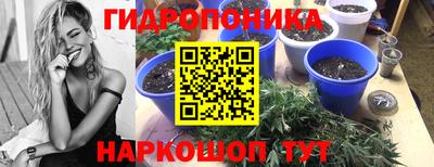 прущие крисы Гагарин