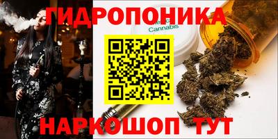 прущие крисы Гагарин