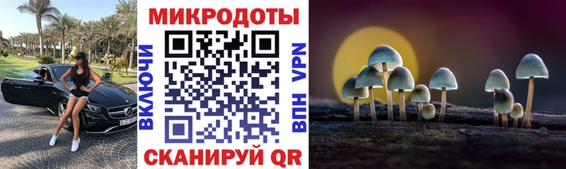 Галлюциногенные грибы прущие грибы Луховицы