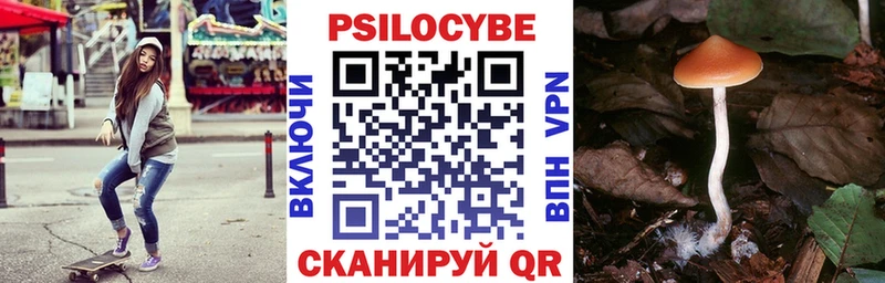 omg зеркало  Луховицы  Псилоцибиновые грибы Psilocybine cubensis 